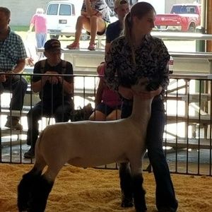 Meet your Posher, Haily